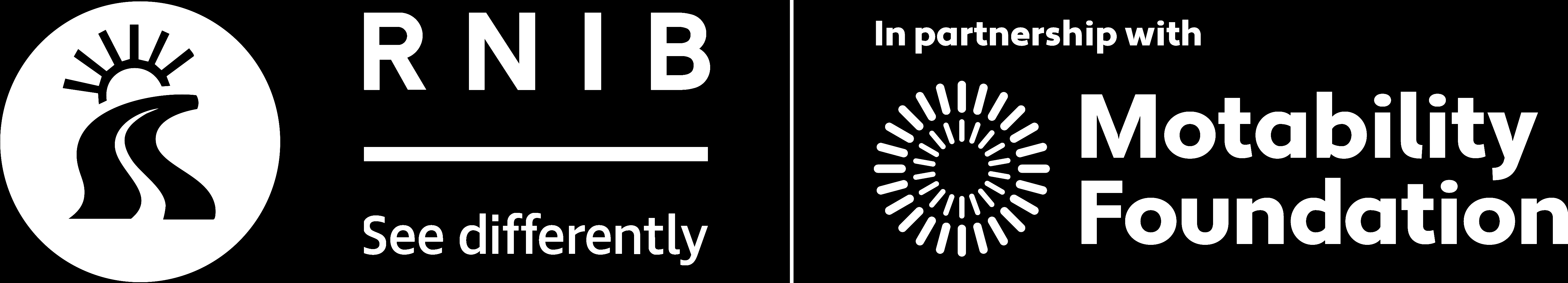 RNIB Future Journeys logo